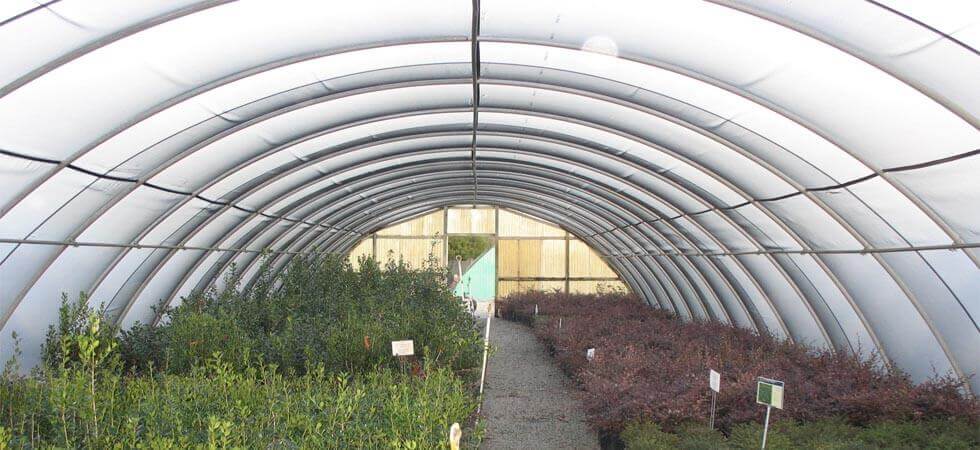 15 BEST HIGH TUNNEL WINTER CROPS
