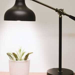 How-to-use-LED-Growlights-for-plants-indoor-gardening-featured-image-min