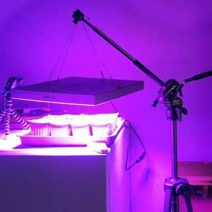 greenhouse grow lights, How to grow inside a room