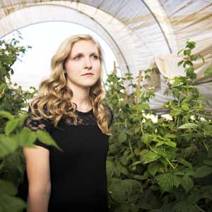 why plants grow faster in a greenhouse feature image.jpg