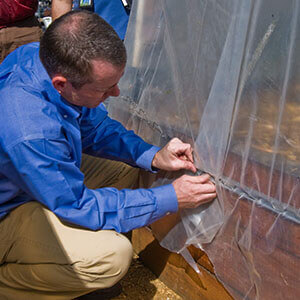 HOW TO ANCHOR GREENHOUSE PLASTIC featured image