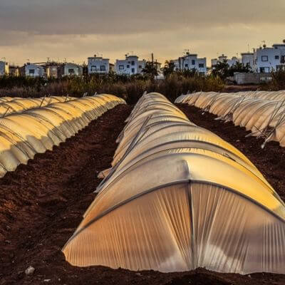 How to do greenhouse farming at home