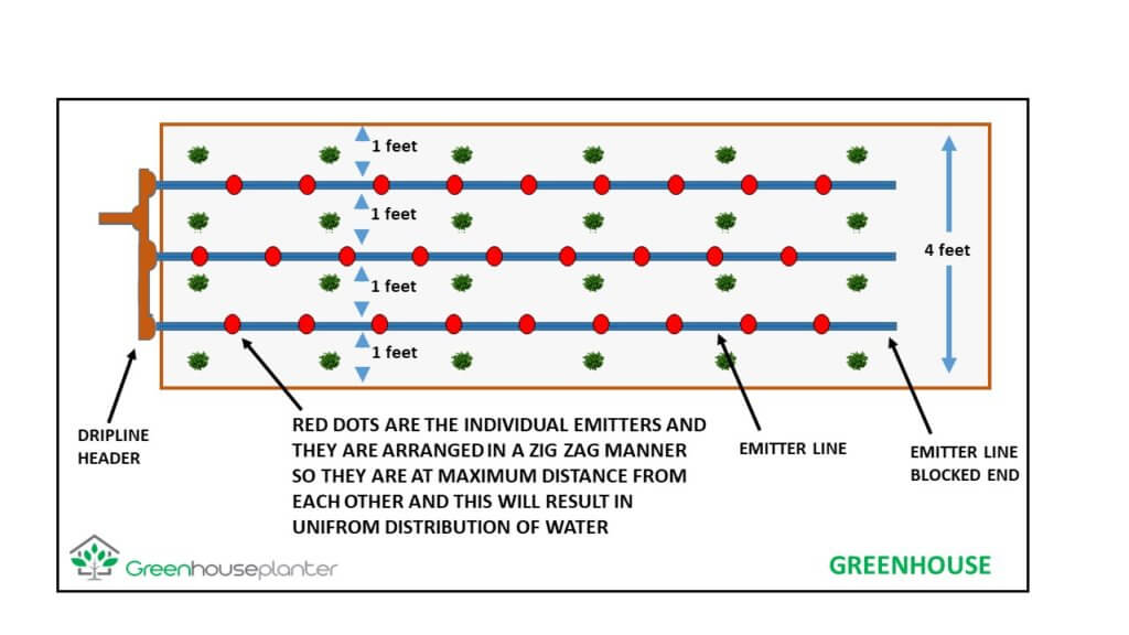 Emitter layout of the drip irrigation system.