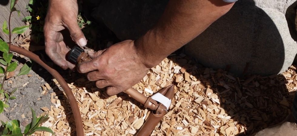 DIY Greenhouse drip Igrriation system