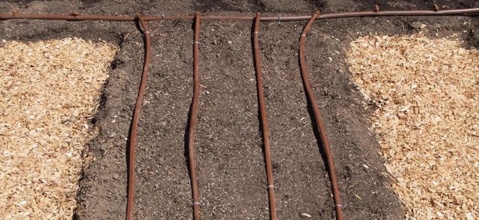 DIY irrigation system installed