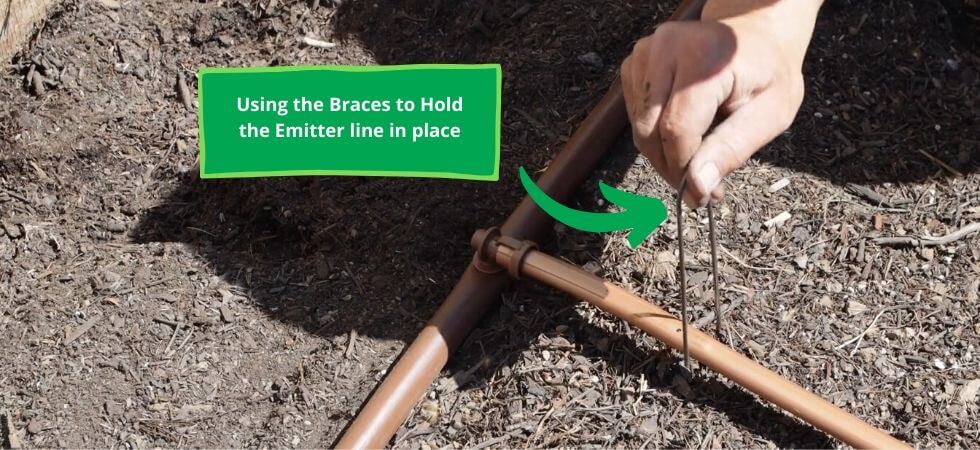 Using Braces to hold the emitter line in place