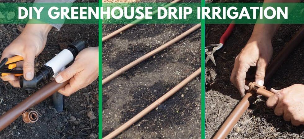 a complete guide to DIY Greenhouse drip Igrriation system