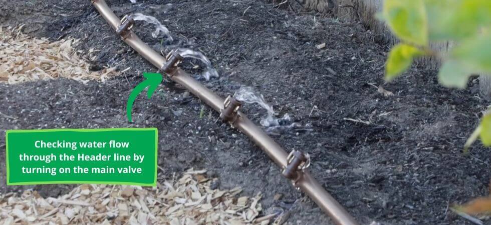 flushing the header line of the drip irrigation system with water