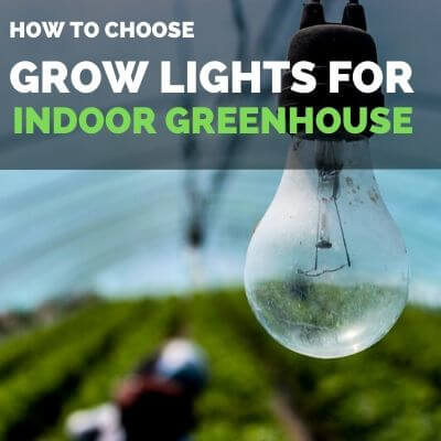 How to choose grow lights for indoor greenhouse