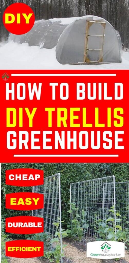 how to make DIY trellis for greenhouse vegetables and fruits