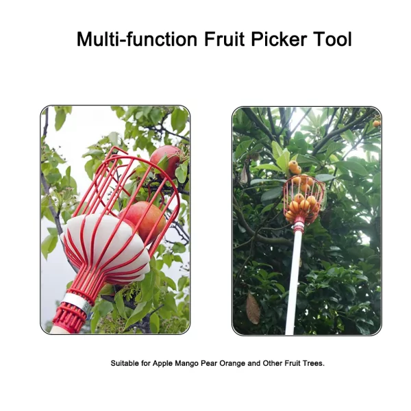 Effortless Fruit Picking Head with Deep Basket – Apple, Peach, Citrus, Pear, and More!