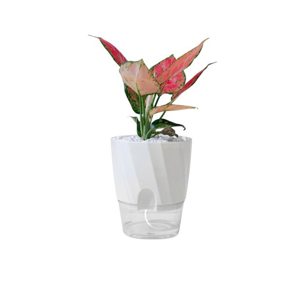 Self-Watering-Transparent-Hydroponic-Flowerpot-for-Effortless-Office-Elegance