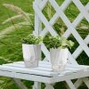 Self-Watering-Transparent-Hydroponic-Flowerpot-for-Effortless-Office-Elegance