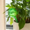 Smart Plant Care Plant Self-Watering Water Globes Set of 5