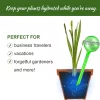 Smart Plant Care Plant Self-Watering Water Globes Set of 5